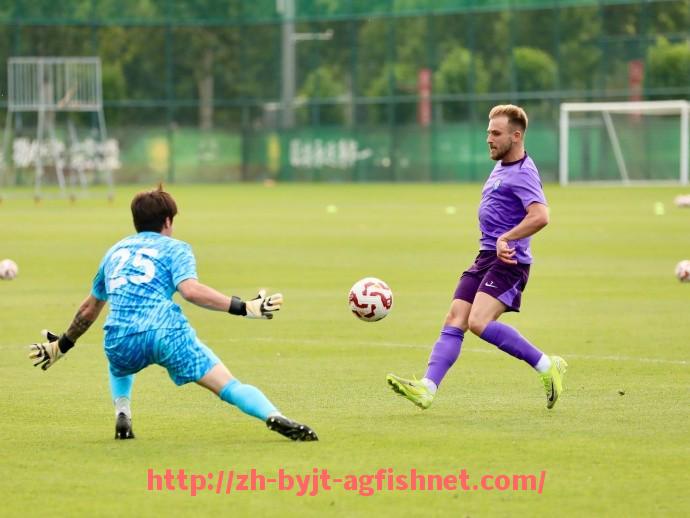 AG捕鱼王官网-法甲外援技术执行力在赛季中的表现及提升策略