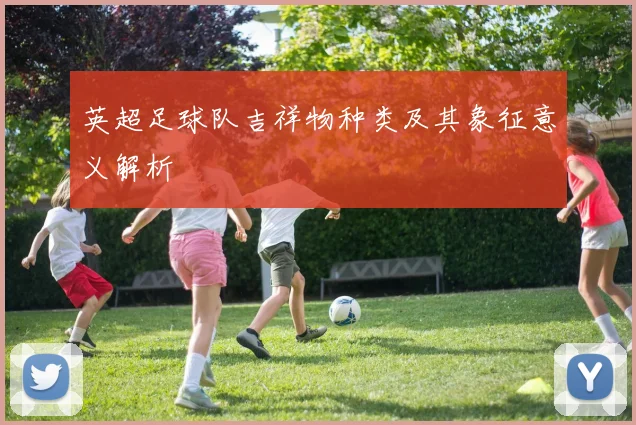 英超足球队吉祥物种类及其象征意义解析