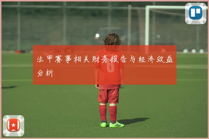 法甲赛事相关财务报告与经济效益分析