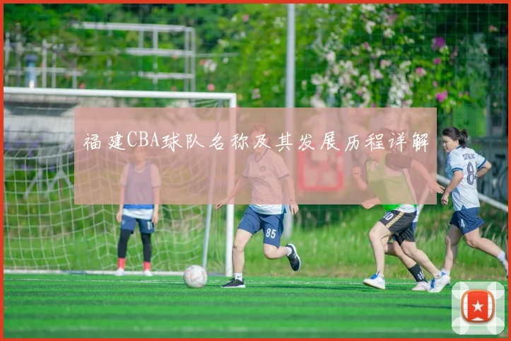 福建CBA球队名称及其发展历程详解