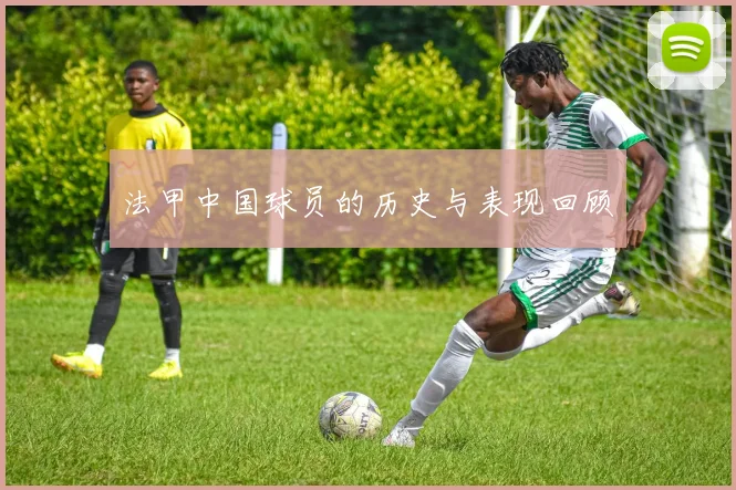 法甲中国球员的历史与表现回顾