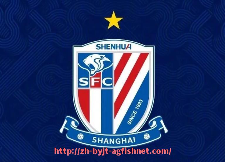 AG捕鱼王官网-意甲球队退役球衣图片集锦及背后故事解读