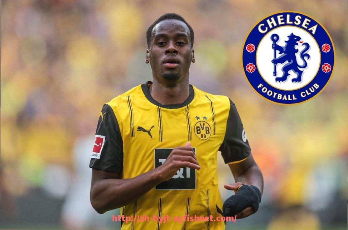 AG捕鱼王官网-法甲赛事直播数据分析：用户行为与传播效率的关系